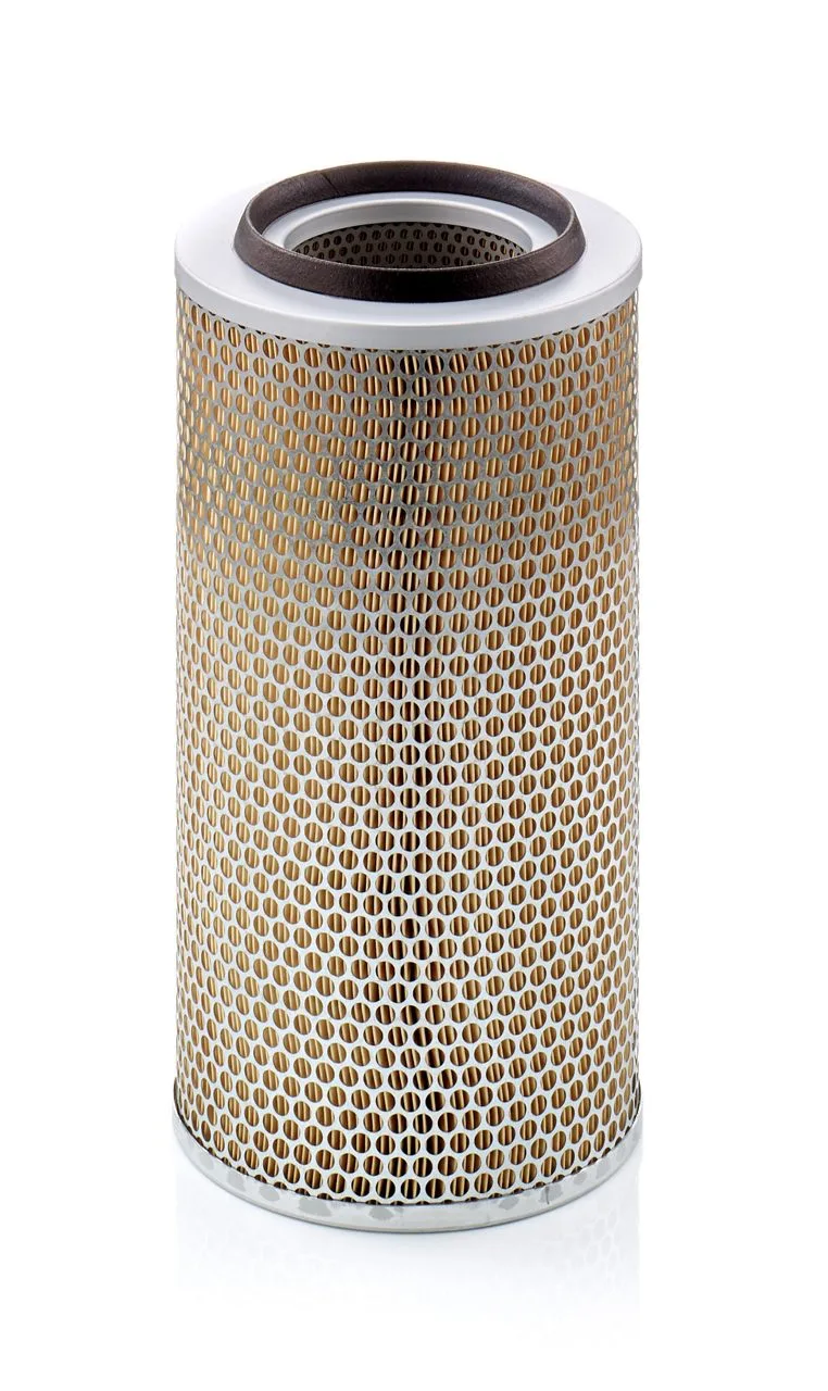 C20325/2 Mann Filter