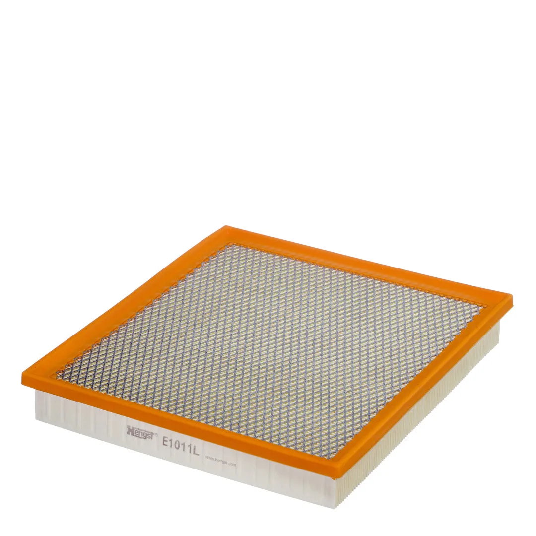 E1011L Hengst