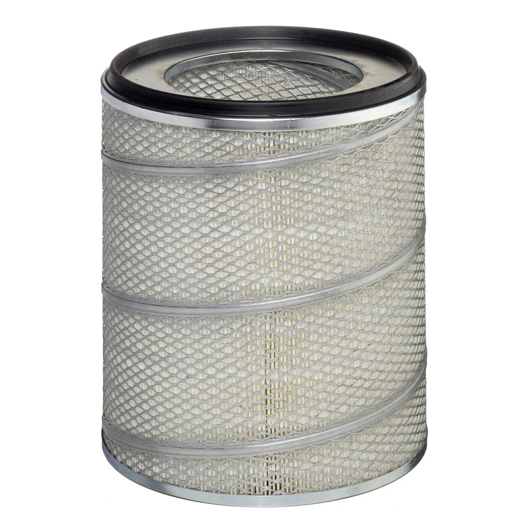 E569L Hengst
