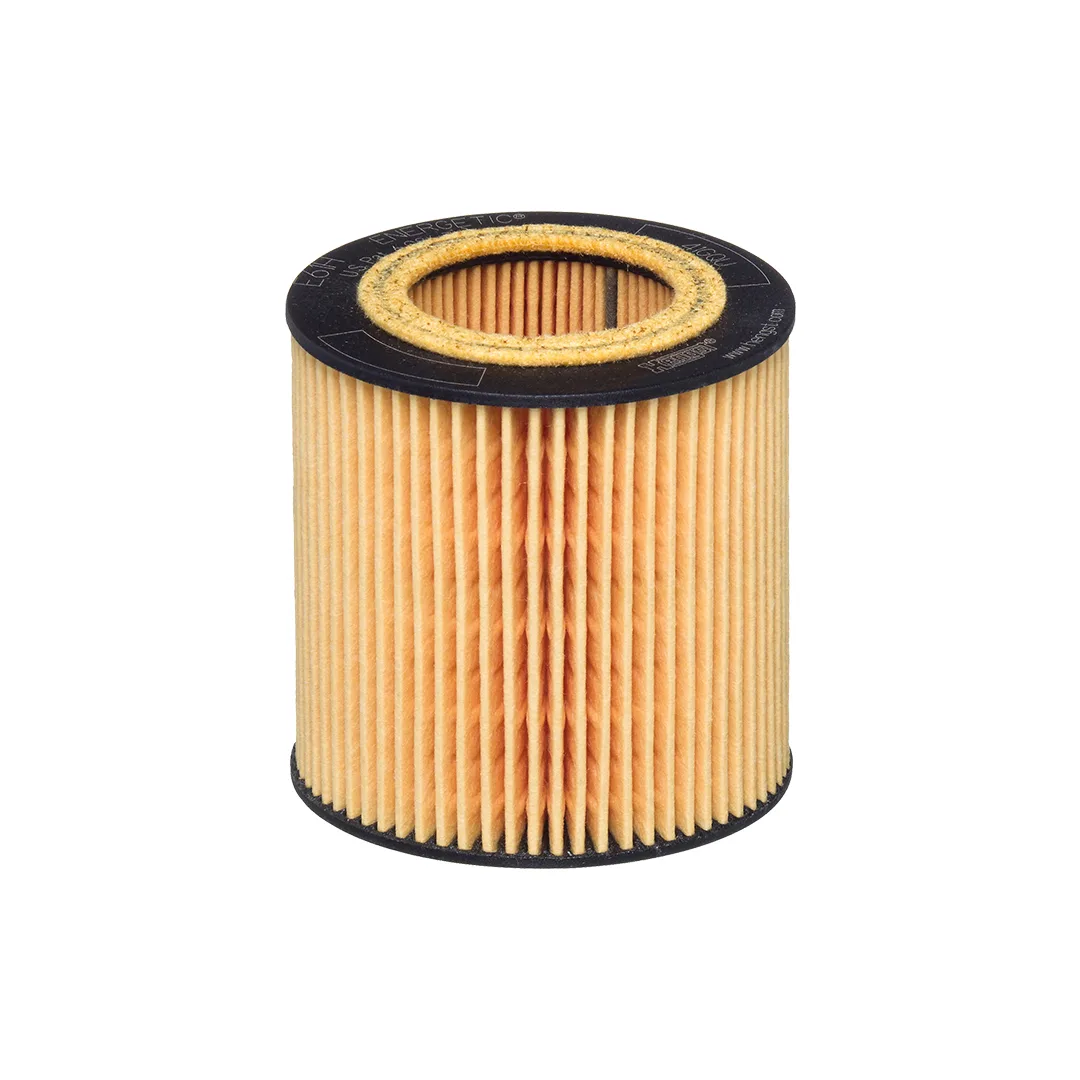 E61HD258 Hengst