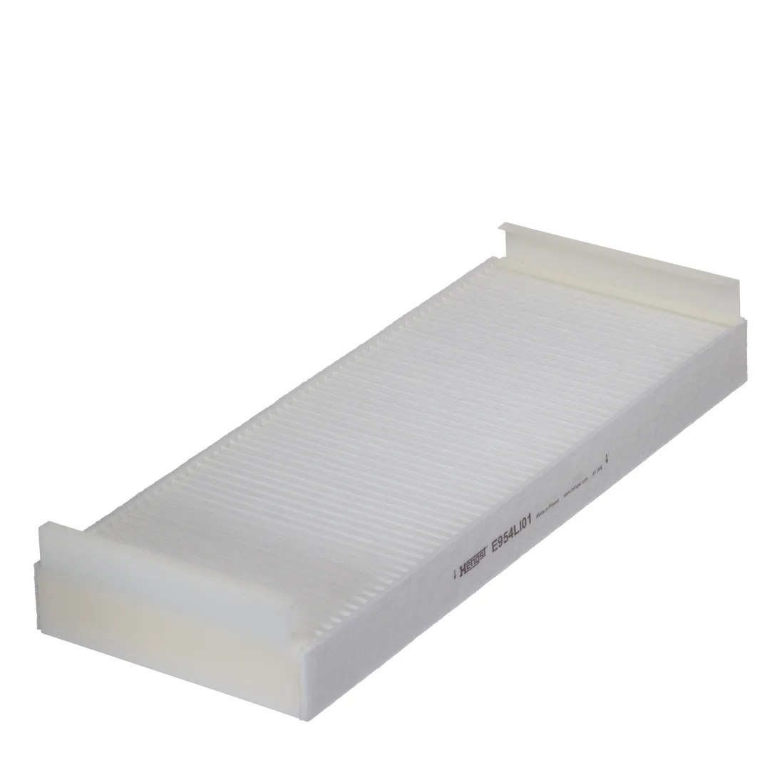 E954LI01 Hengst