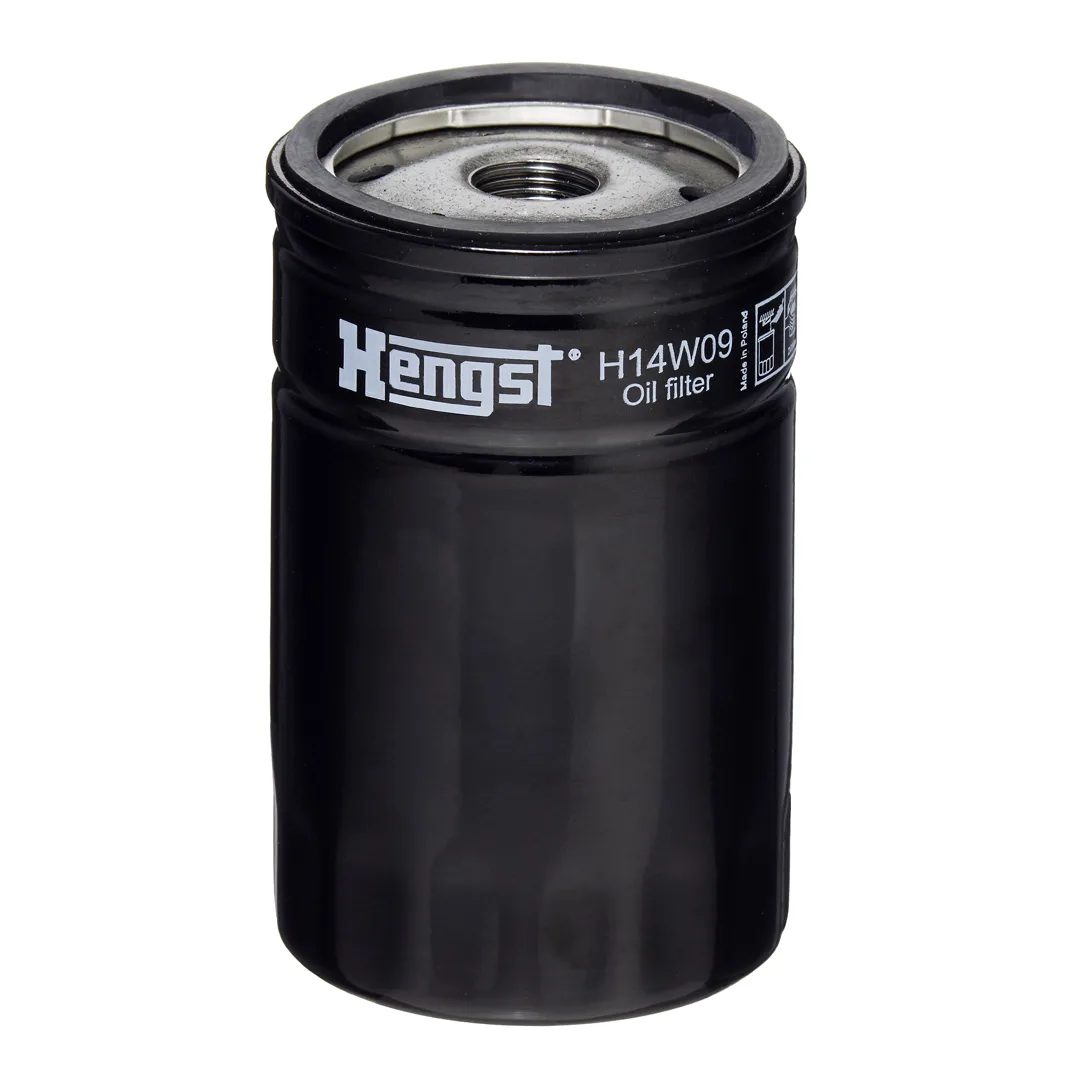 H14W09 Hengst