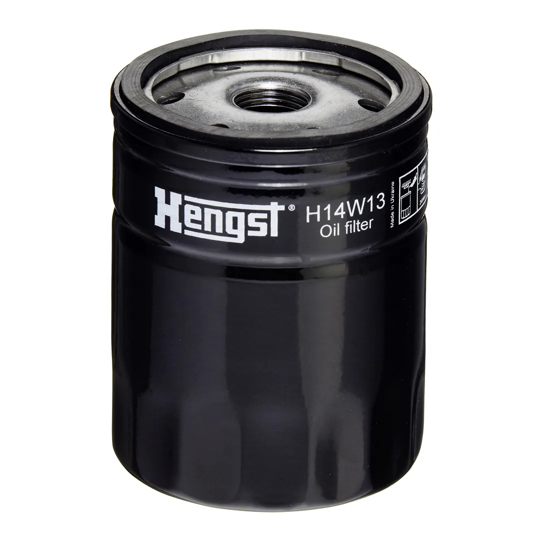 H14W13 Hengst