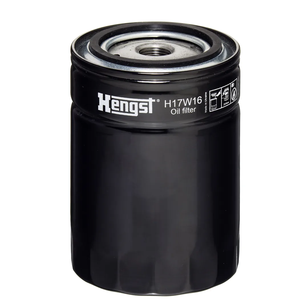 H17W16 Hengst