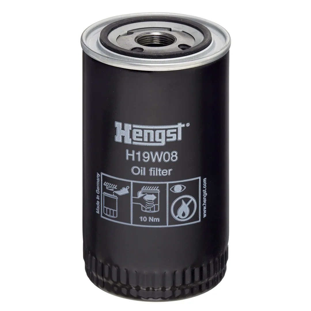 H19W08 Hengst
