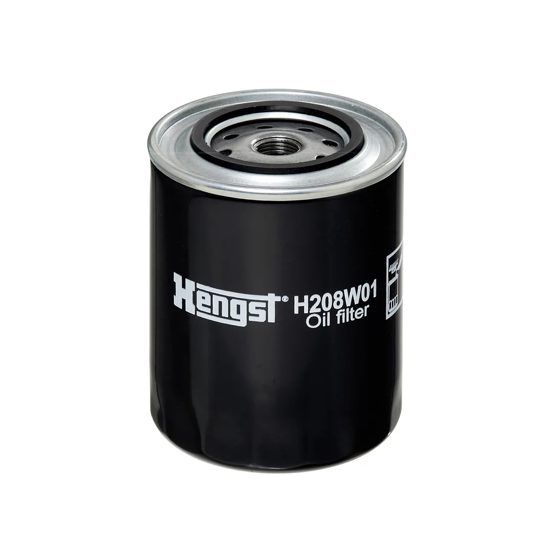H208W01 Hengst
