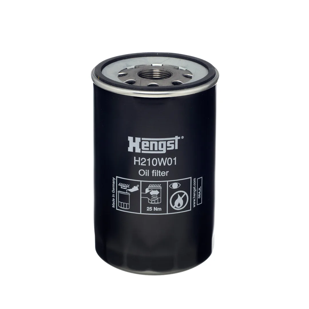 H210W01 Hengst