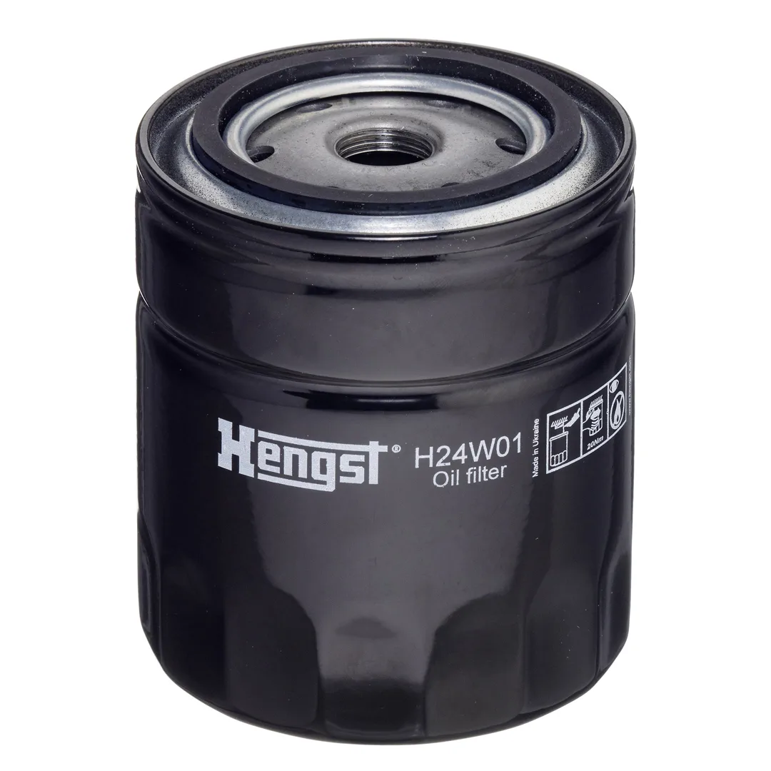 H24W01 Hengst