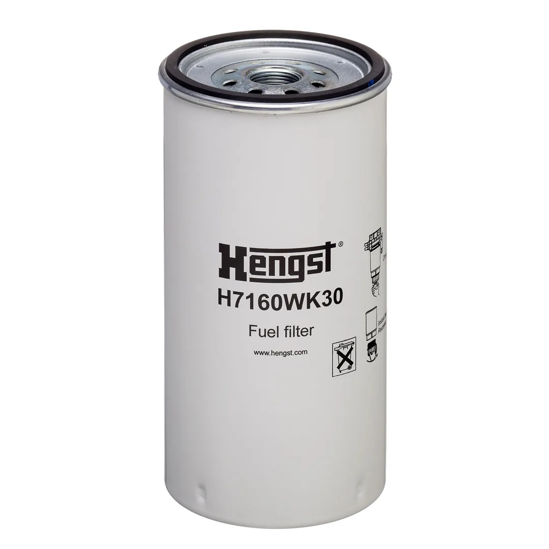 H7160WK30 Hengst