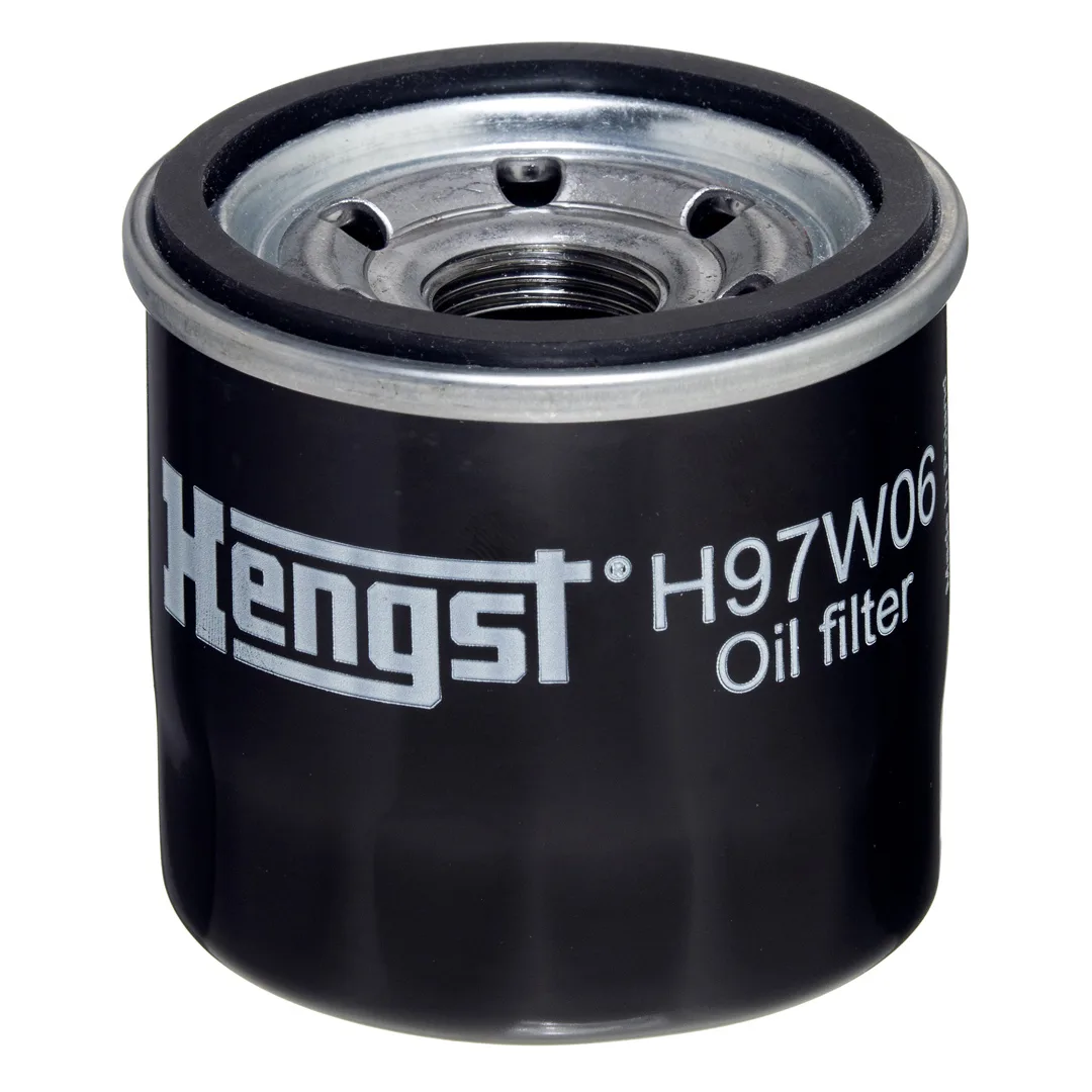 H97W06 Hengst
