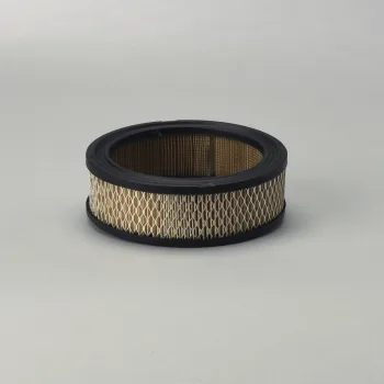 P528231